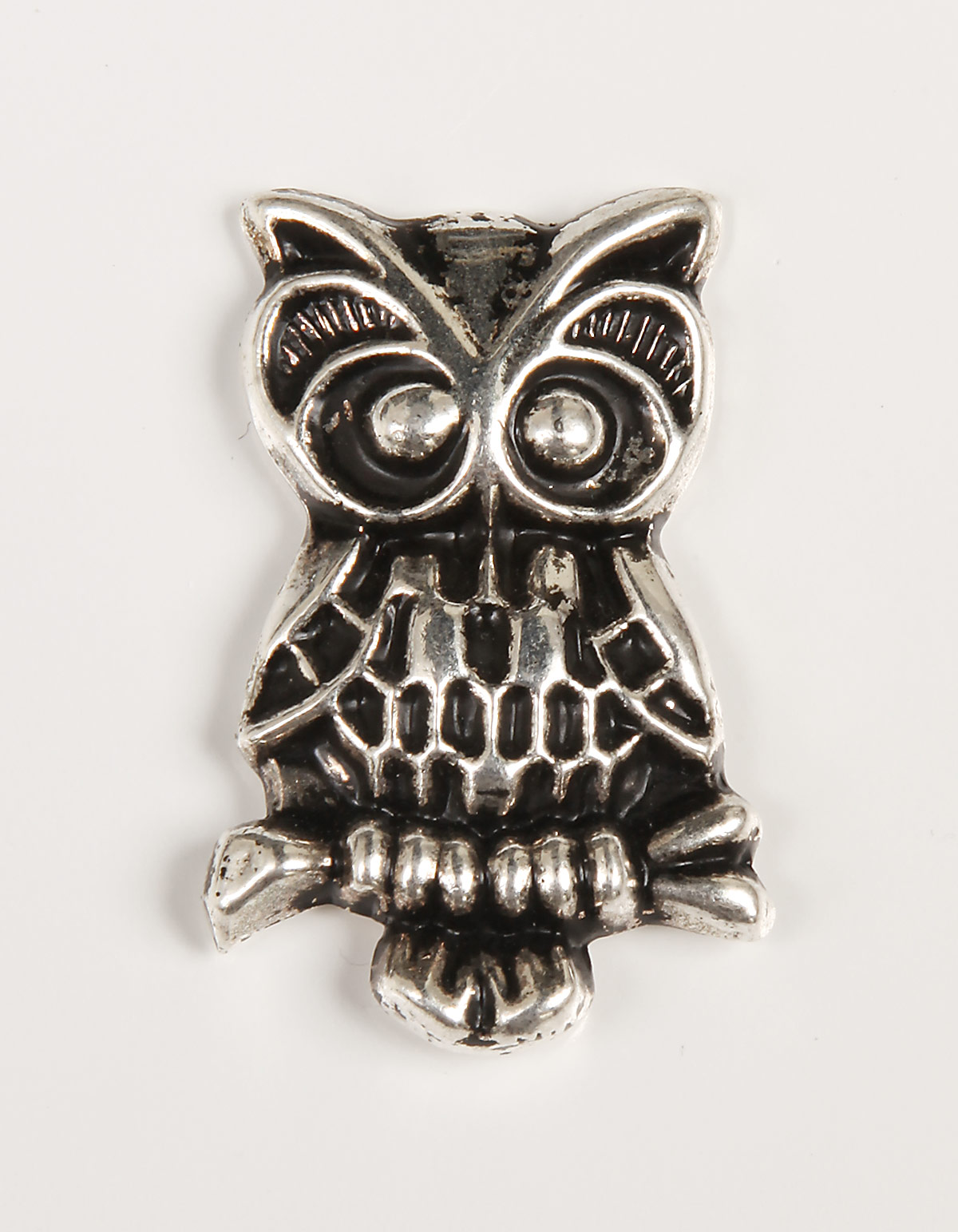 foto magnet - sova velk�